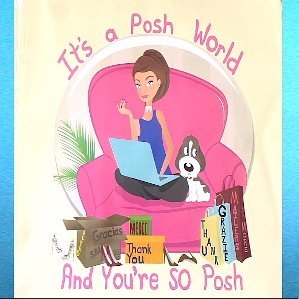 25 10X13 Poly Mailers Posh World PRICE IS FIRM - Picture 13 of 15